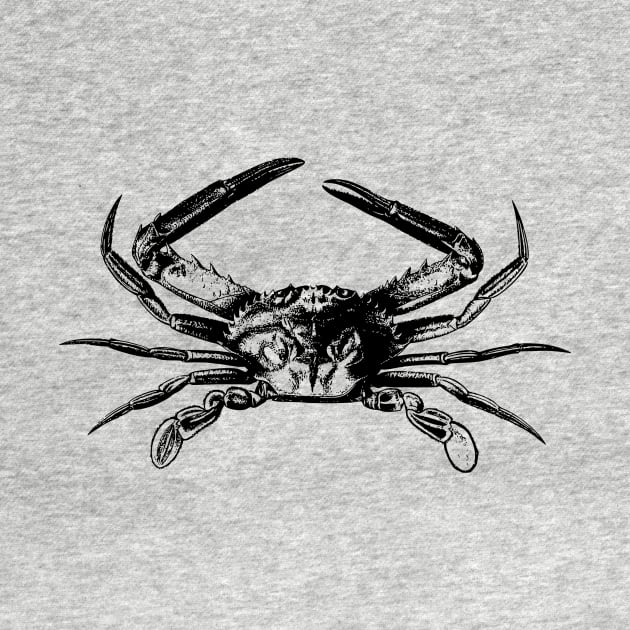 Crab by linesdesigns